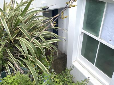 Picture 14